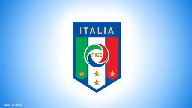 figc-130426b.jpg
