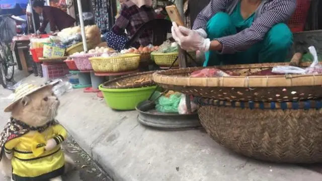 facebook.com/ngongiolangthangviem/ntn