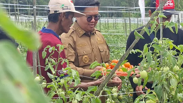Pemkab Kukar
