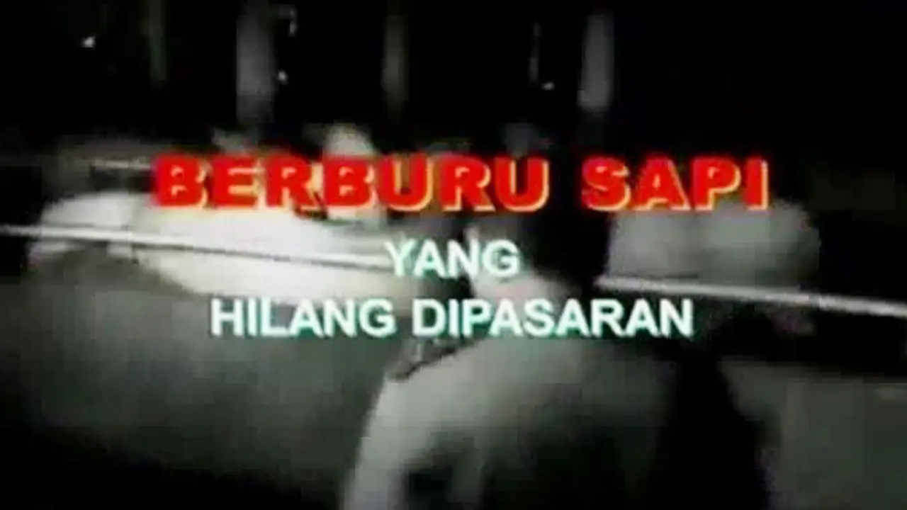 Sigi Investigasi: Berburu Sapi yang Hilang di Pasaran