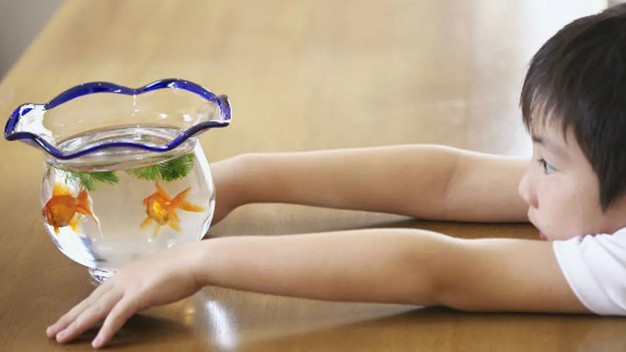 foto: copyright thinkstockphotos.com
