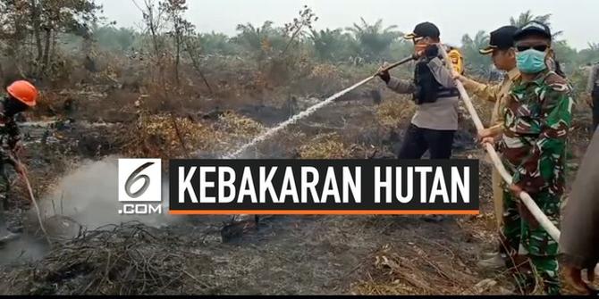 VIDEO: Polisi Segel Perusahaan Pembakar Hutan dan Lahan