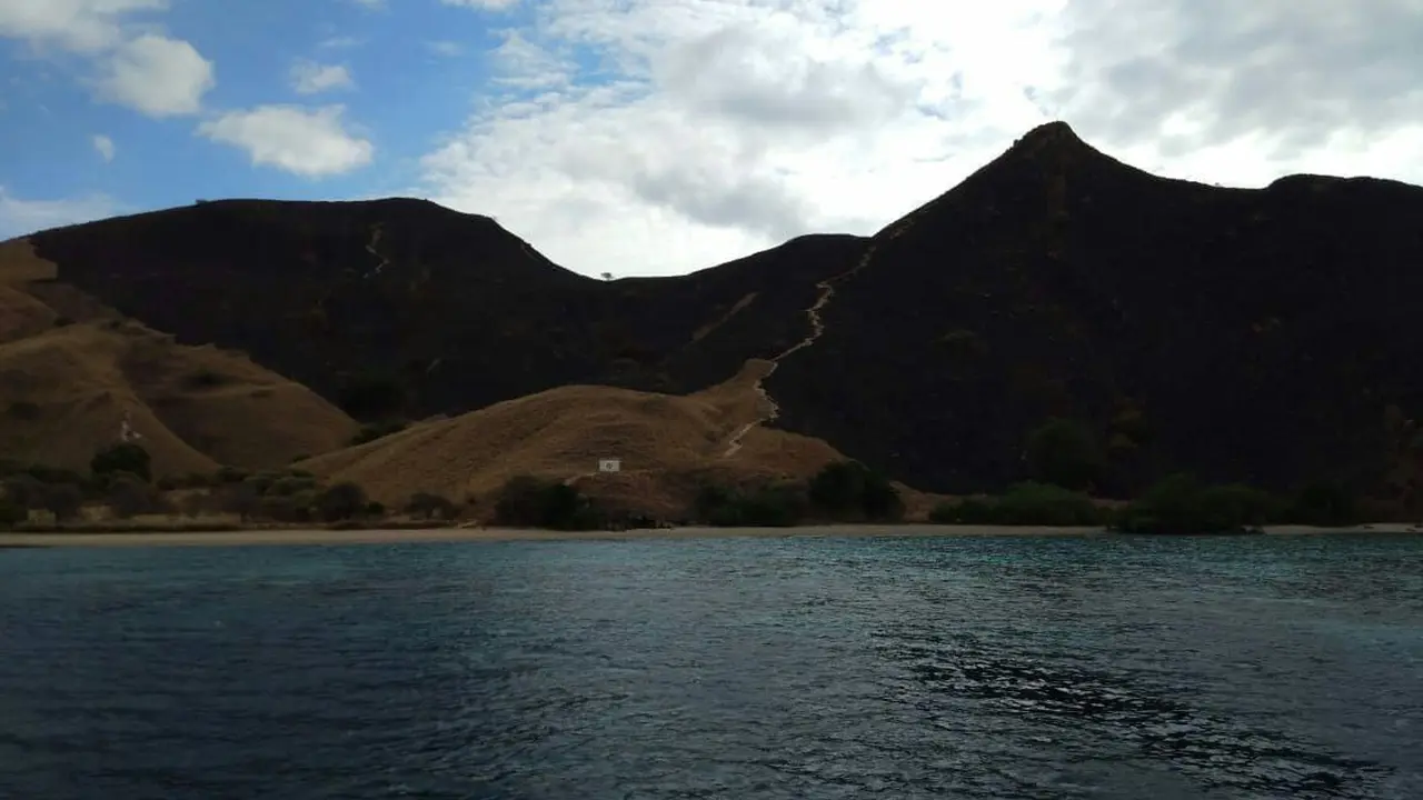 Komodo
