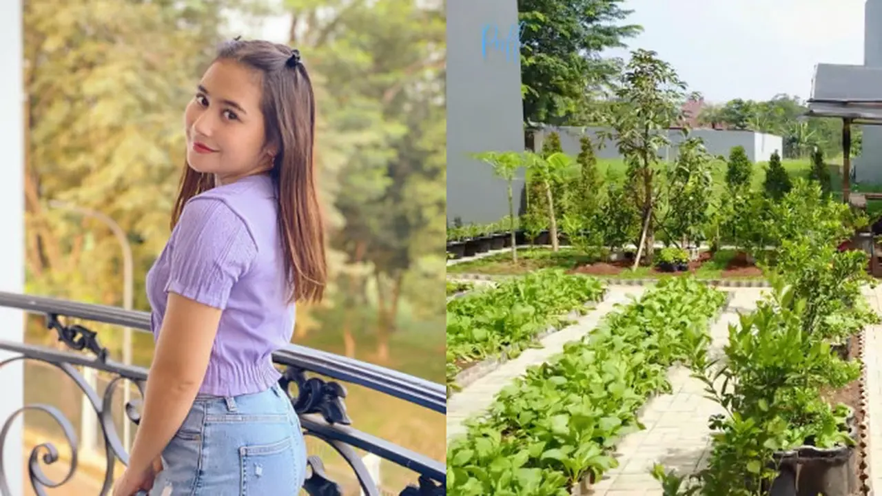 Potret Kebun Organik Milik Prilly Latuconsina, Ada Sayur Hingga Buah-buahan