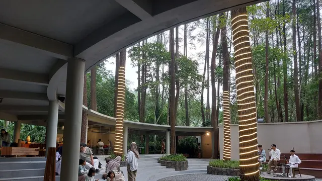 Wisata Healing di Enchanting Forest Taman Safari Prigen, Liburan Asyik, Jiwa Sehat!