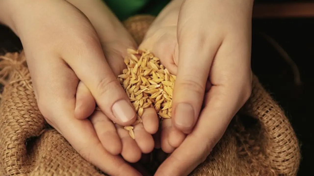 Ilustrasi zakat