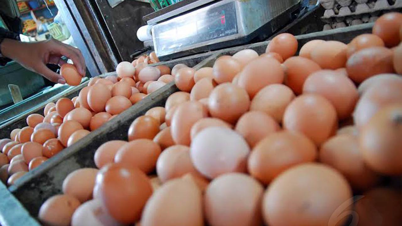 Harga Telur Melambung