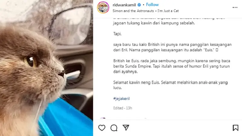 Kucing kesayangan Eril