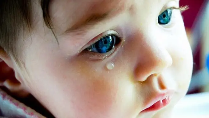 Ilustrasi (c) wallpapers-hq.ru