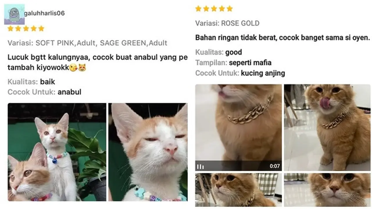6 Ulasan tentang Aksesori Hewan di Toko Online Ini Kocak,