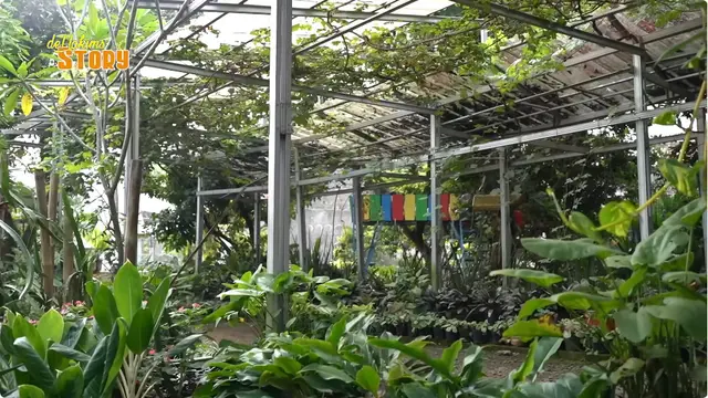 Potret Halaman Rumah Mamah Dedeh di Ciseeng (YouTube deHakims Story)