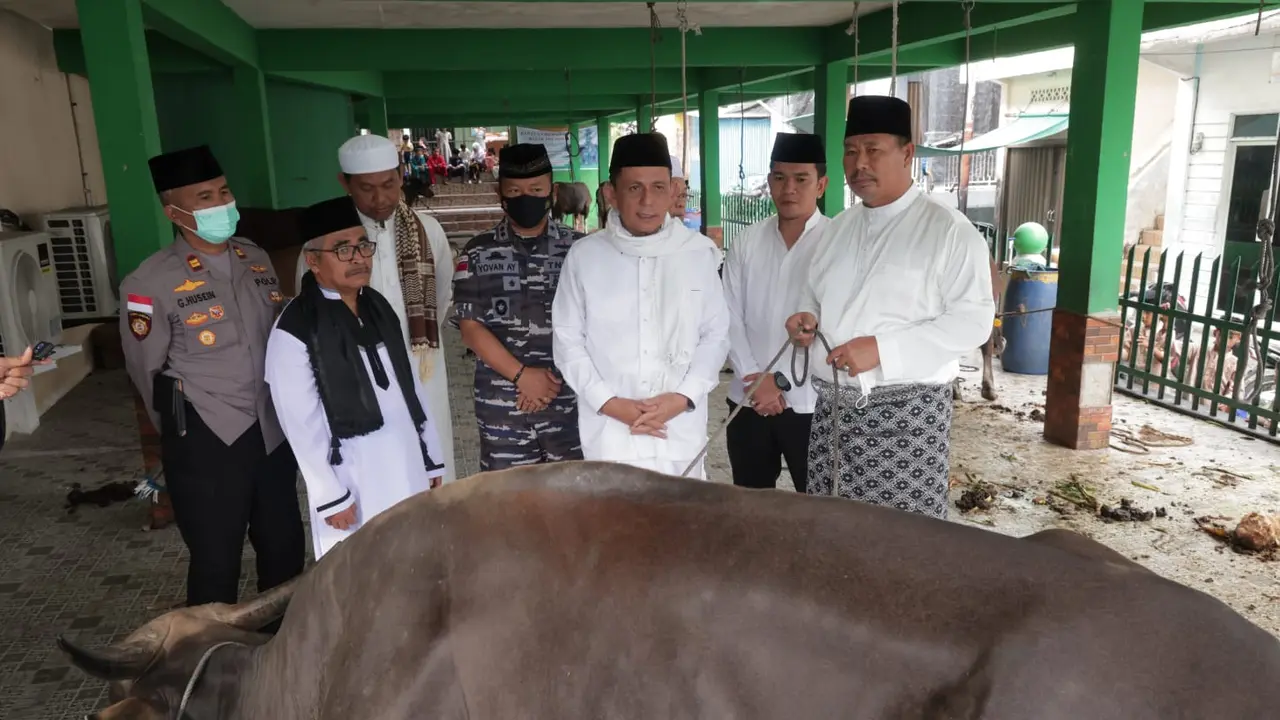 Sapi Kurban dari Jokowi