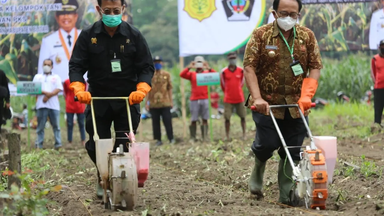 Mentan Syahrul Yasin Limpo terjun langsung bersama Bupati Blitar melakukan tanam jagung di Desa Maliran, Kamis (13/8/2020). (Dok Kementan)