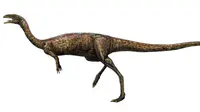 Elaphrosaur, dinosaurus ompong yang langka. (Wikimedia)