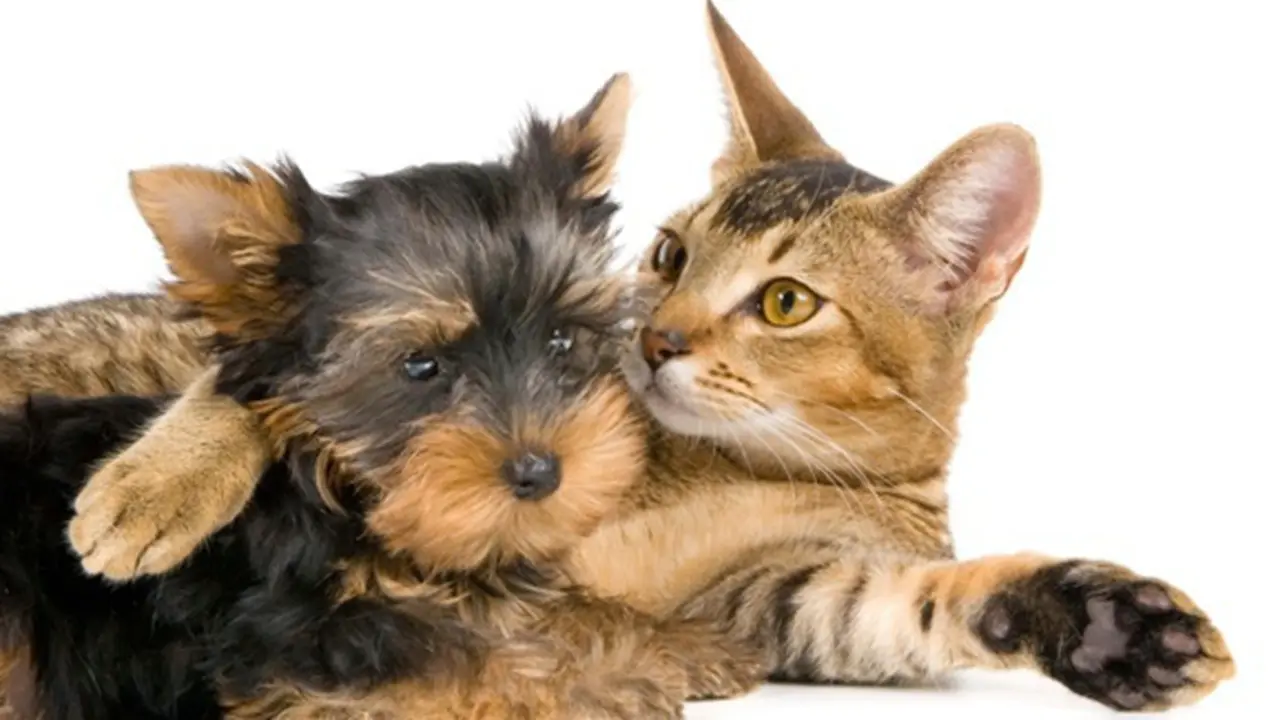 Foto: copyright Thinkstockphotos.com