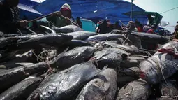 Sejumlah nelayan menurunkan ikan-ikan hasil melaut untuk dijual di kawasan Pelabuhan Muara Baru, Jakarta, Kamis (28/8/2014) (Liputan6.com/Faizal Fanani)