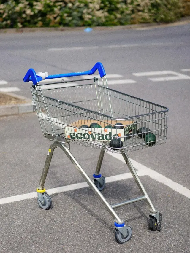 Penampakan buah Ecovado.