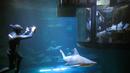 Seorang penyelam mengambil gambar pengunjung yang tengah melihat kawanan hiu dari sebuah kamar saat menginap di hotel bawah air Aquarium of Paris, Prancis, 14 Maret 2016. (REUTERS/Charles Platiau)
