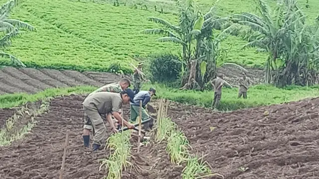 Tanam Bibit di Hulu Citarum, Prajurit Siliwangi Nginap di Barak