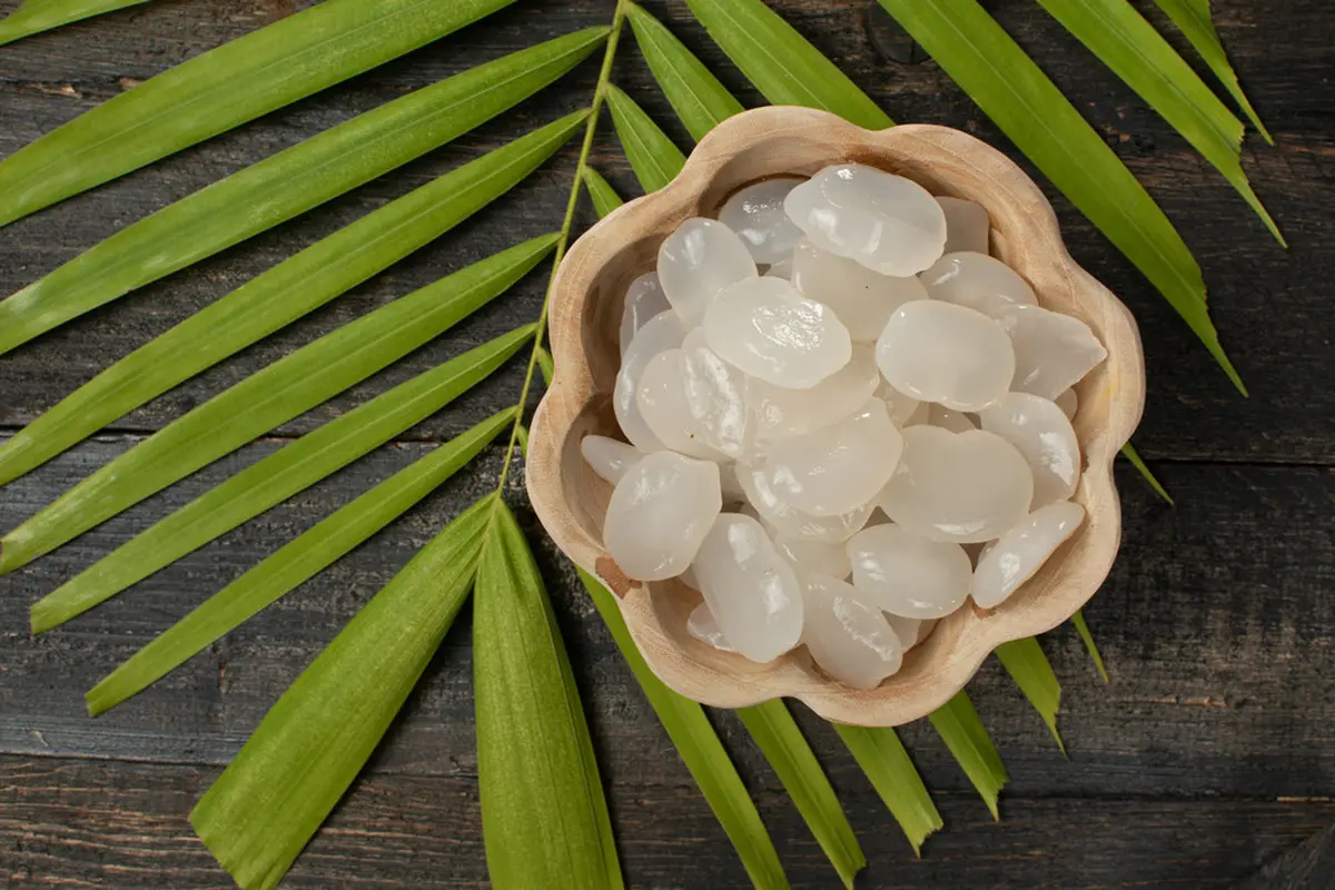 kolang kaling-kezo