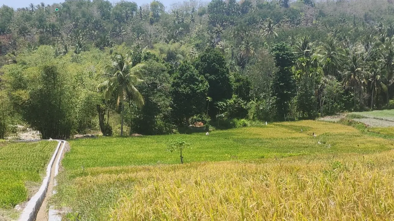 Kementan