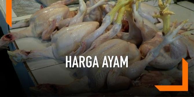 VIDEO: Jelang Puasa, Harga Ayam Potong Meroket