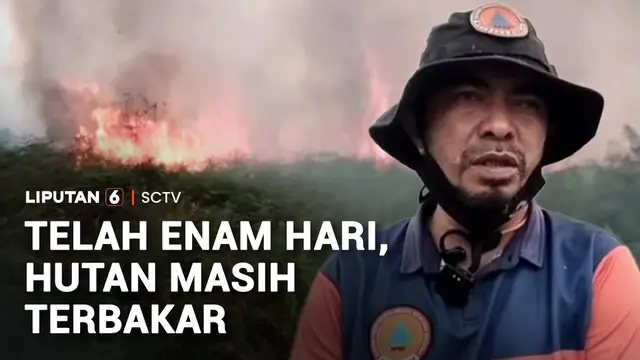 Sudah Enam Hari Karhutla Gambut Aceh Barat Belum Padam, BNPB Gelar Modifikasi Cuaca