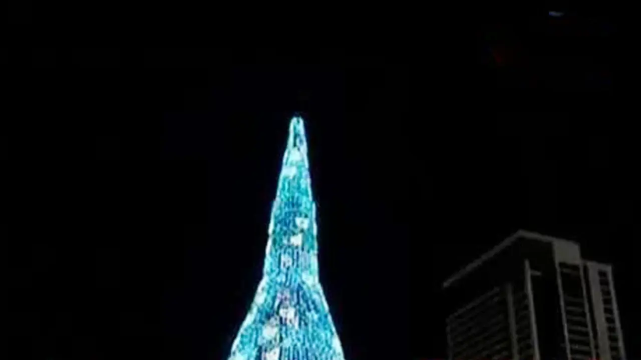  Pohon Natal di Sri Lanka Diyakini Tertinggi di Dunia 