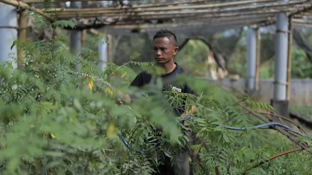 Saat Limbah jadi Nyawa Pembangkit Listrik Demi Terangi Warga
