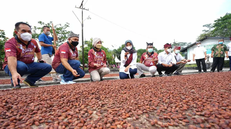 Bupati Banyuwangi Ifuk Fiestiandani menijau pabrik pengelolaan kakao Glenmore Banyuwangi (Istimewa)