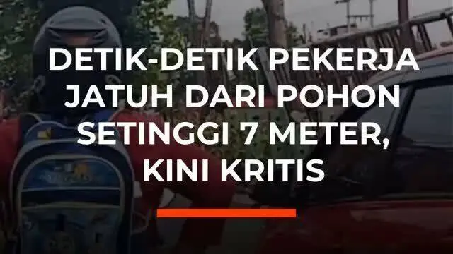 Detik-Detik Pekerja Jatuh dari Pohon Setinggi 7 Meter, Kini kritis
