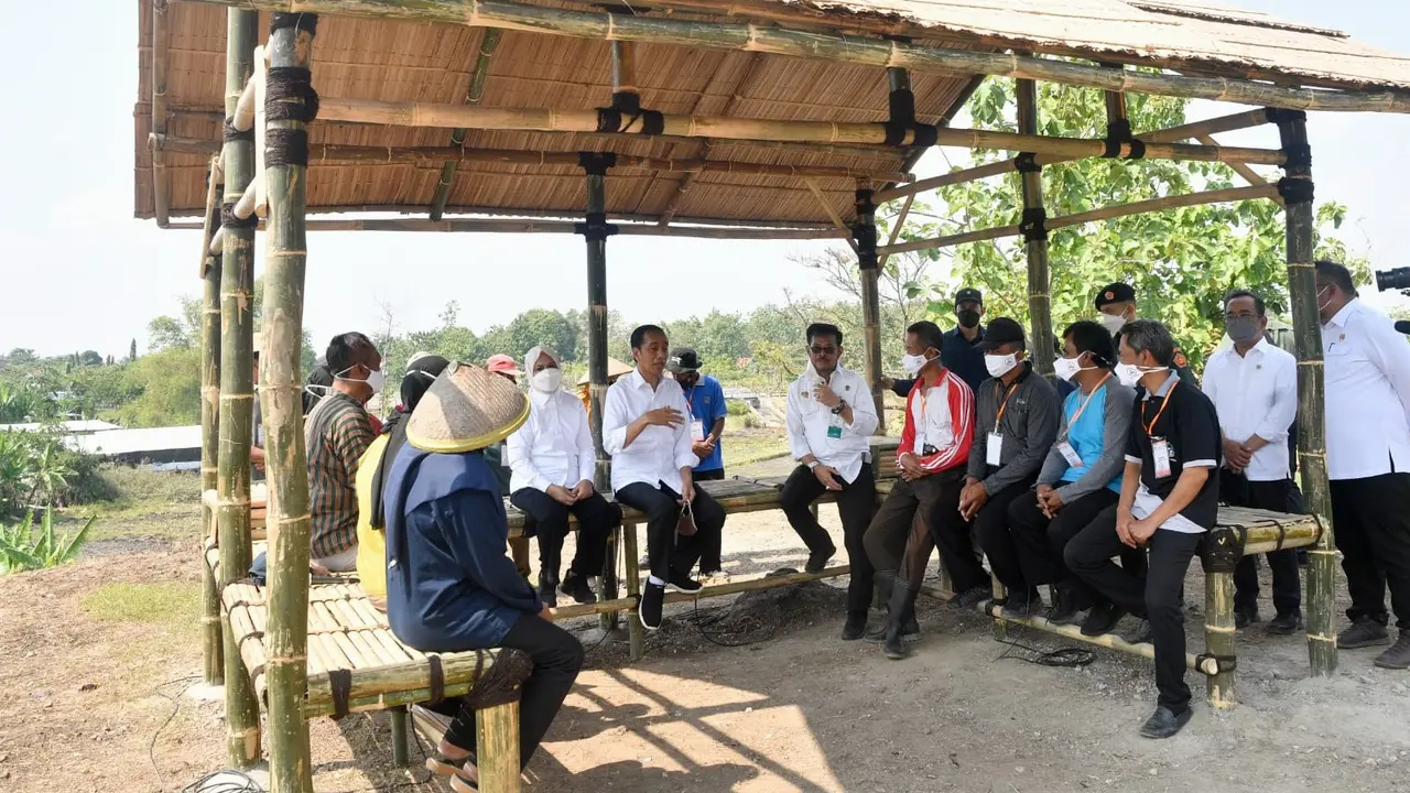 Presiden Joko Widodo atau Jokowi dan Ibu Negara Iriana saat mengobrol dengan para petani merawat kelapa genjah, di Boyolali