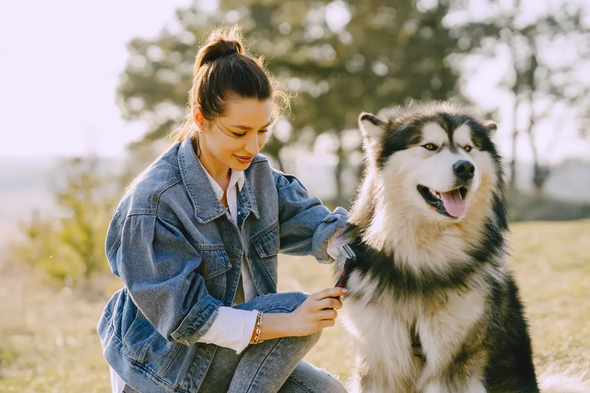 Dog Owner
