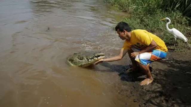 Pikat Wisatawan, Pria Ini Nekat Cium Buaya