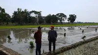 Petani mulai memanfaatkan lahan persawahan untuk tanam padi. (Dok Kementan)