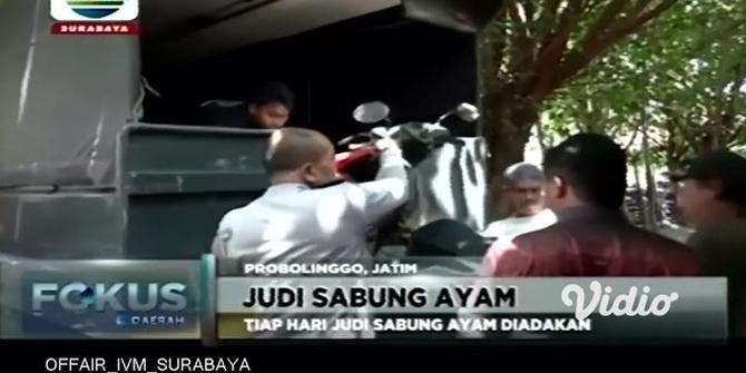 VIDEO: Polisi Probolinggo Gerebek Judi Sabung Ayam