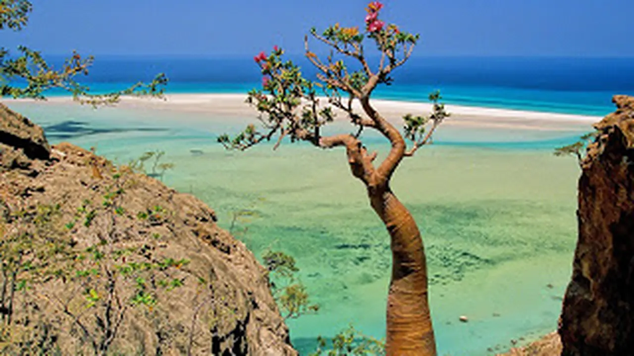 Socotra, Pulau Indah yang di Temukan di Yaman