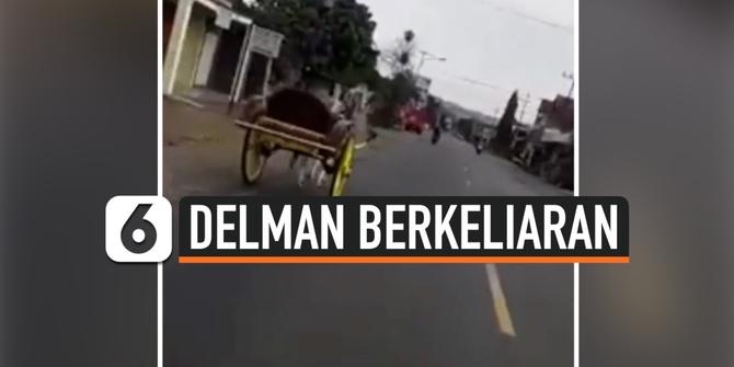 VIDEO: Delman Tanpa Kusir Berkeliaran di Jalan, Bahayakan Pengendara
