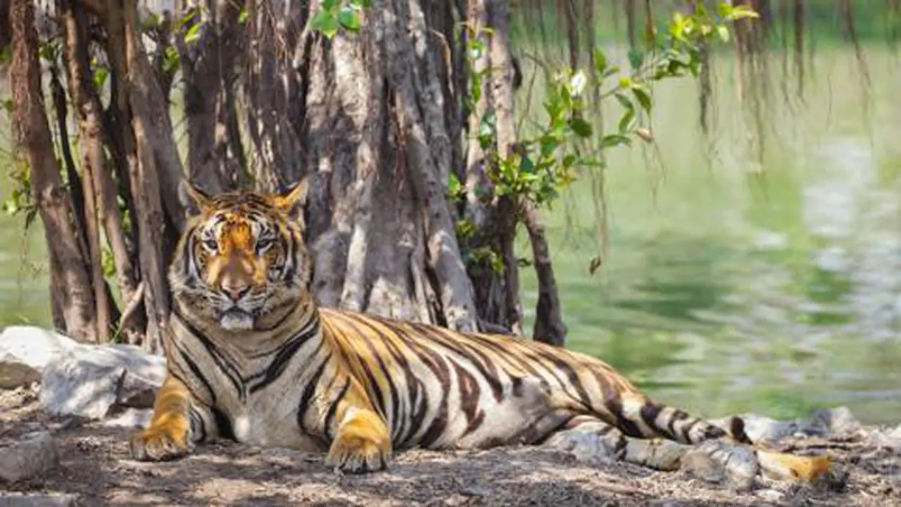 Foto: copyright shutterstock.com