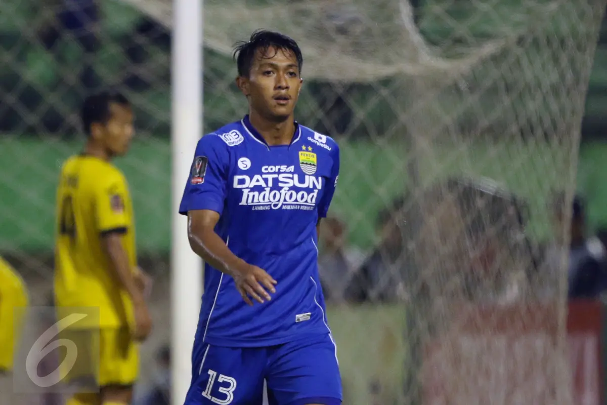 Febri Hariyadi, Persib Bandung