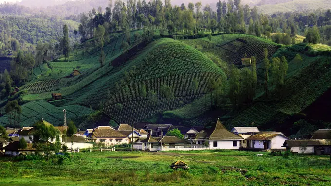 [Bintang] Jawa Timur