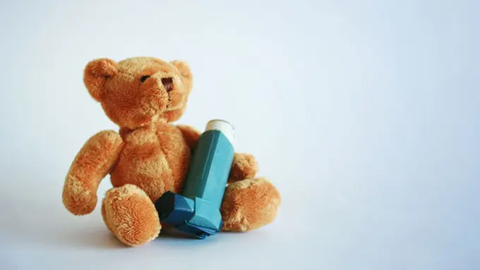 Foto: copyright shutterstock.com