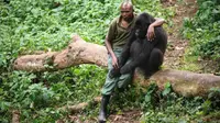 Anak gorila itu sangat terpukul setelah induknya mati dibunuh oleh pemburu.