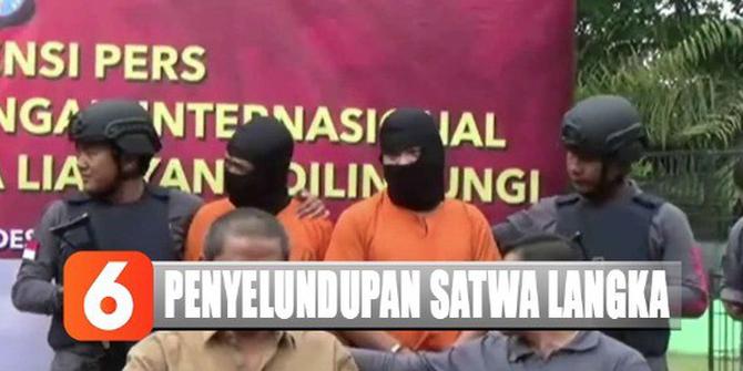 Polisi dan BKSDA Riau Gagalkan Penyelundupan Satwa Langka