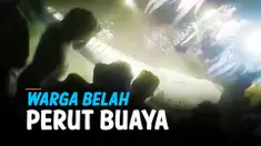 WARGA BELAH PERUT BUAYA YANG DIDUGA MEMANGSA BOCAH