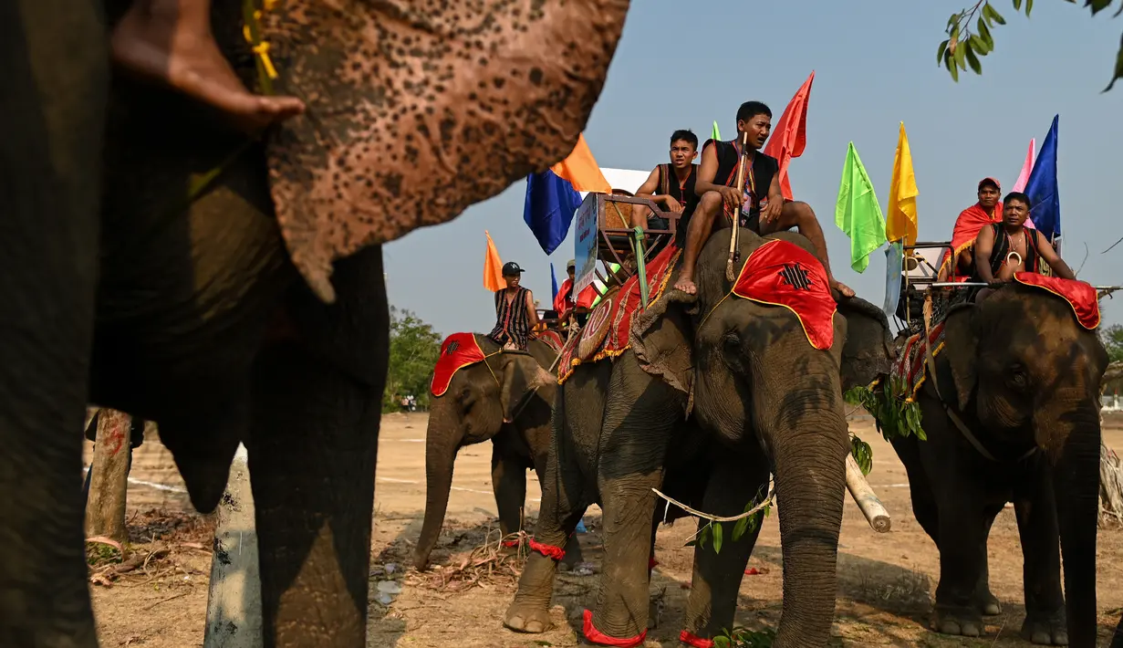 Pawang melatih gajah mereka menjelang lomba selama festival gajah Buon Don di Provinsi Dak Lak, Vietnam pada 11 Maret 2019. Festival gajah ini merupakan acara tahunan khas dari etnis-etnis minoritas di kabupaten Buon Don. (Manan VATSYAYANA/AFP)