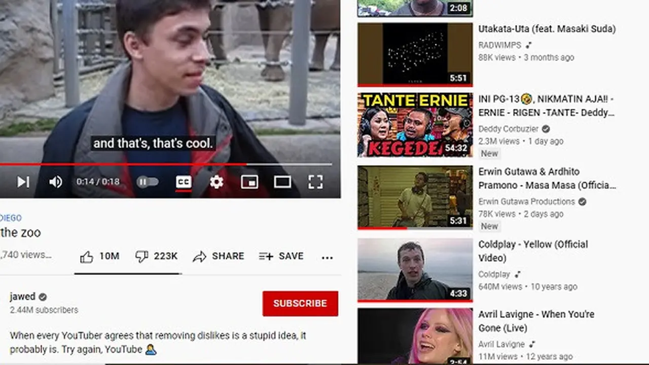 Salah satu pendiri YouTube mengomentari kebijakan menghilangkan jumlah dislike lewat video pertama yang diunggah di platform itu (Tangkapan layar YouTube)