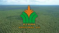 Jurus PTPN IV Regional 7 KSO Dukung Program Ketahanan Pangan
