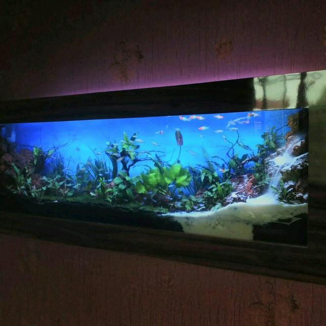 Daftar Harga Aquarium Dinding Bulan Juli 2021 Terbaru