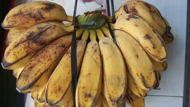 Pisang Kepok 0614